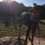 doberman__pinscher_23967192_1976553562601108_4881563672905777152_n.jpg doberman__pinscher_23967192_1976553562601108_4881563672905777152_n.jpg